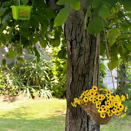 Guia In Valdreu Σπίτι διακοπών Μπράγκα