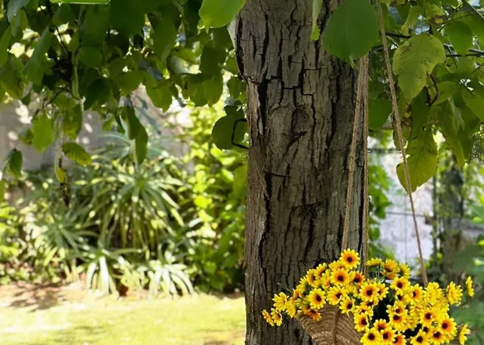 Guia In Valdreu بيت للعطل براغا