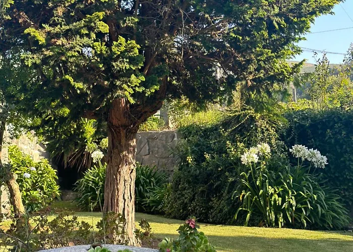 Guia In Valdreu براغا