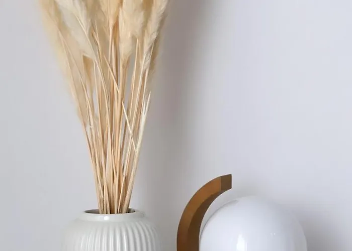 Guia In Valdreu * בראגה